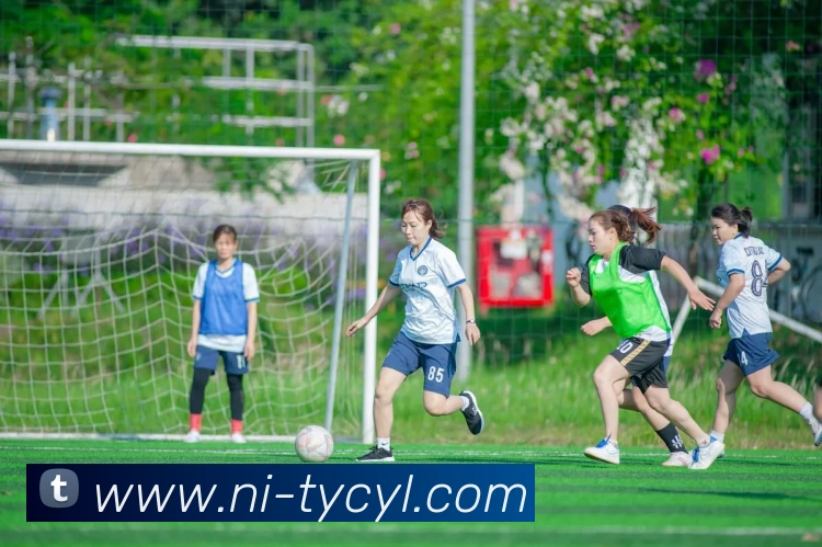 太阳城娱乐平台生态图