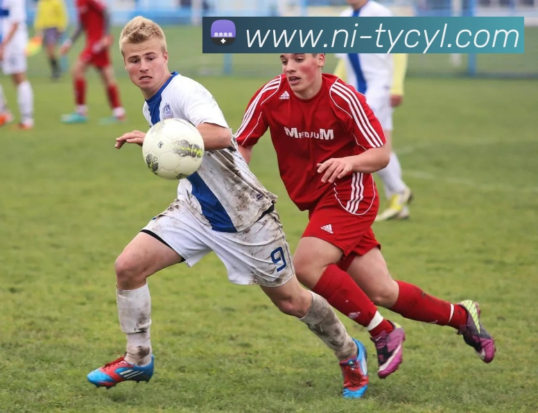 太阳城娱乐APP 封面图